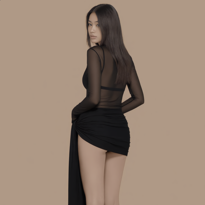 Amere Mesh Dress